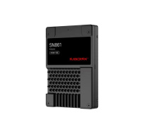 SanDisk Carrera Syndicate SSD 1.92TB DC, SN861, PCIe Gen5, (R:13700, W:3600MB/s), BICS6 TLC NVMe U.2, TCG OPaL ,Generic