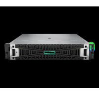 HPE PL DL345g11 AMD Epyc 9015 (3.6G/8C) 2x32G 2x960G 2x1000W MR416i-p 8LFF 4p1G Smart Choice