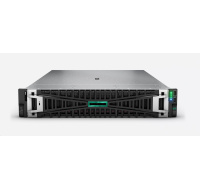 HPE PL DL380g11 4416+ (2.0/20C) 32G (P43328) MR408i-o/4G 8-24SFF 1000W 2x10G-T